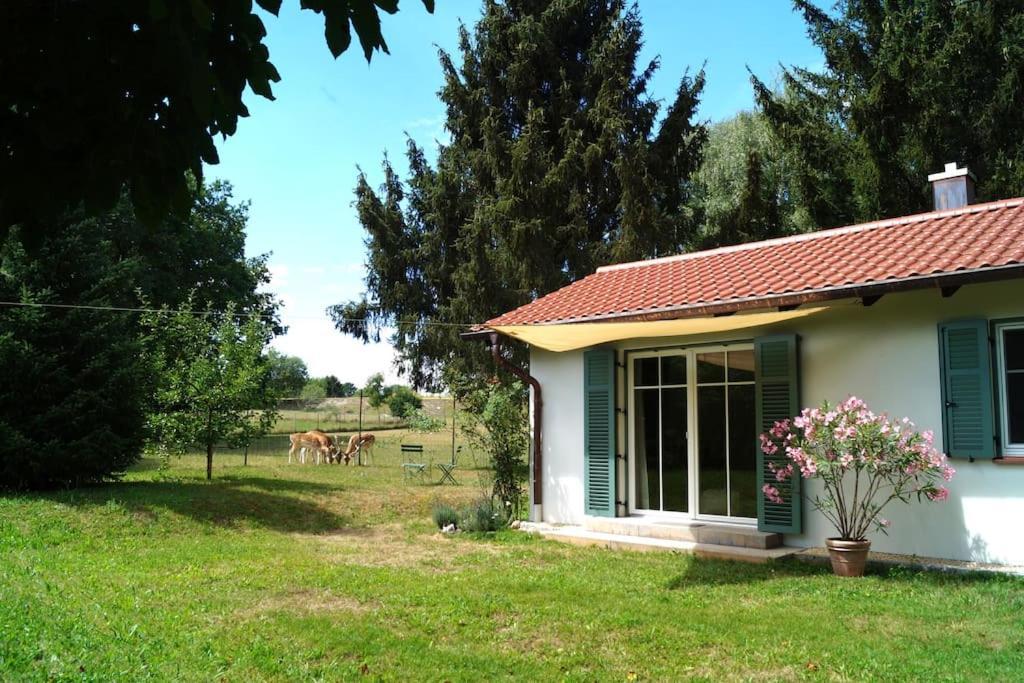 Idylisches Cottage Mit Reh Worthsee Eksteriør billede